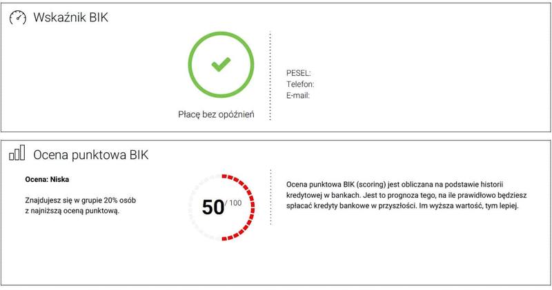 Pobranie raportu BIK za darmo