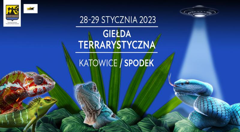 Psychologia inwestora