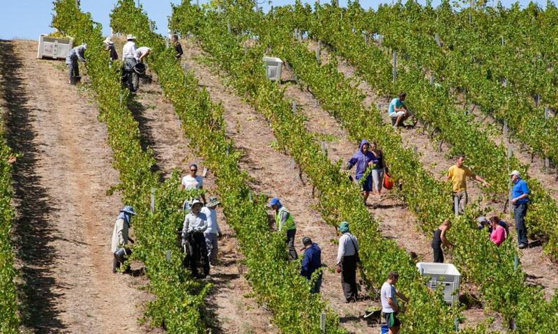 Zarobki a oszczędności za granicą