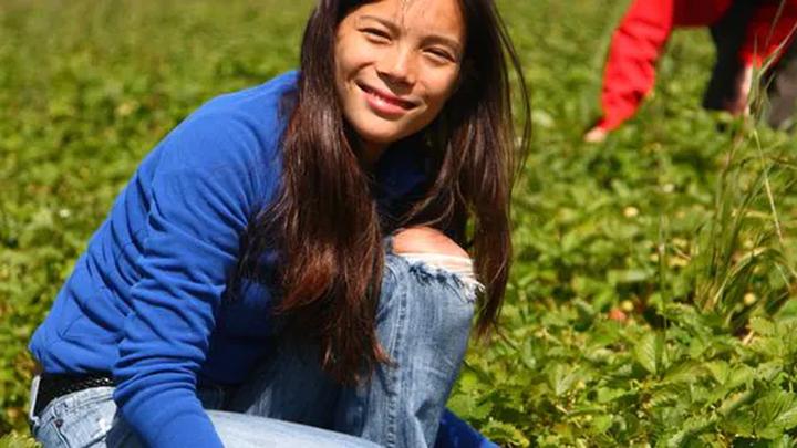 Ile naprawdę zarobisz na zbiorach za granicą? Odkryj realne stawki!