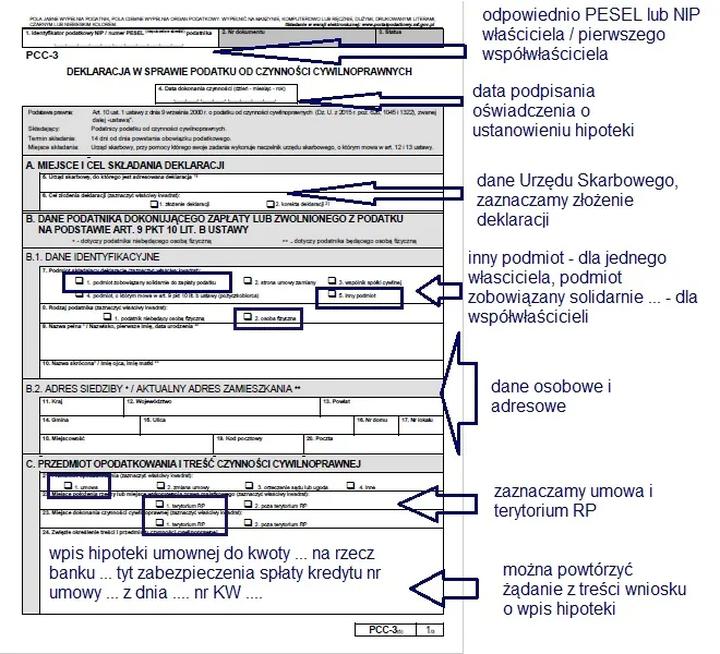 Prawidłowe wypełnienie PCC-3 przy pożyczce – jak uniknąć problemów z urzędami?