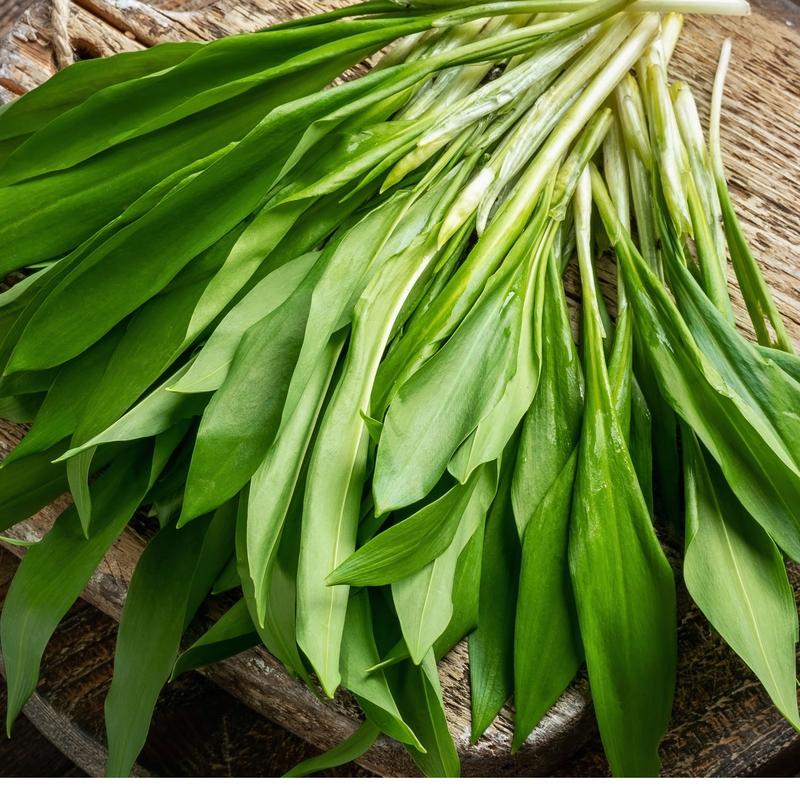 Koszty produkcji czosnku