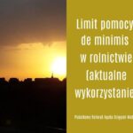 Odkryj, ile można zarobić bez podatku i uniknij opłat dzięki tym limitom