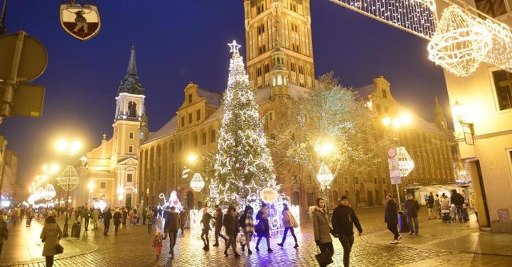 Inwestycja w choinki