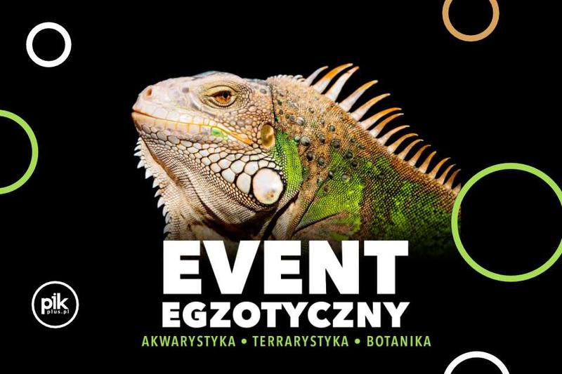 Korzyści dla firm