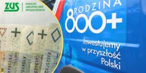 Jak skutecznie złożyć wniosek o ZUS 800 plus na 2026 rok bez błędów?