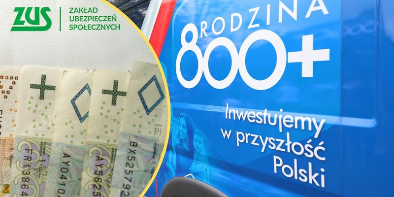 Jak skutecznie złożyć wniosek o ZUS 800 plus na 2026 rok bez błędów?
