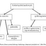 Osobowość prawna spółek: Różnice między ich rodzajami i znaczenie dla działalności gospodarczej