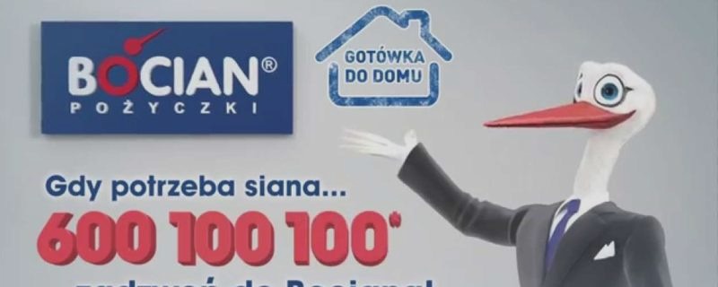 Bocian pożyczki a KRD: Co warto wiedzieć przed skorzystaniem z oferty?