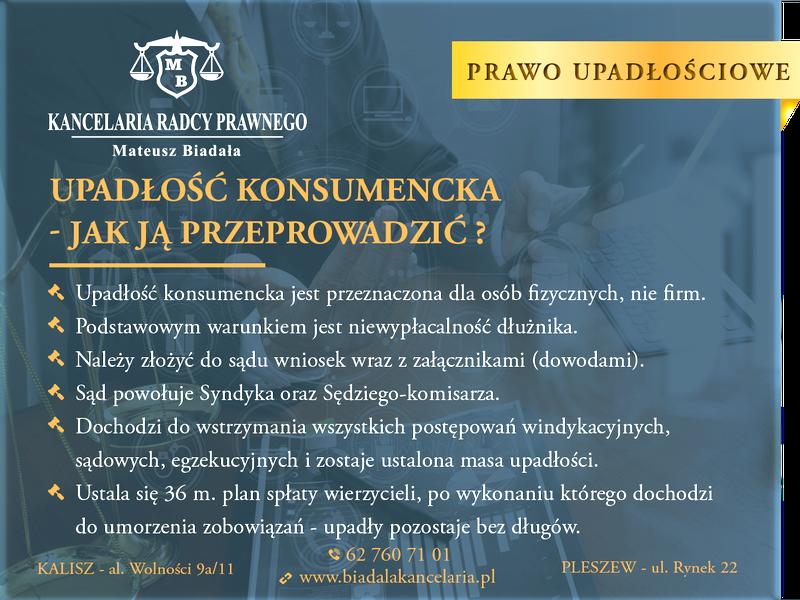 Czyszczenie BIK po upadłości