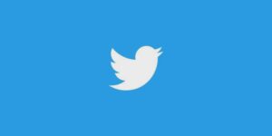 Ile da się zarobić na Twitterze? Realne źródła dochodu i stawki