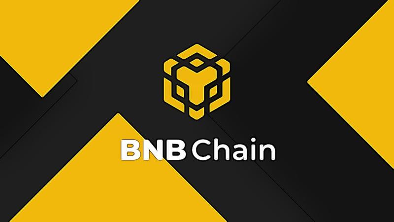 Dodawanie sieci do MetaMask