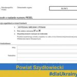 Pożyczka na numer PESEL – czy to możliwe i jakie są zagrożenia?