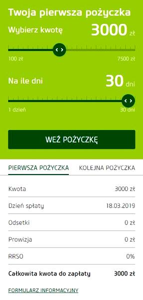 Koszty i odsetki pożyczki