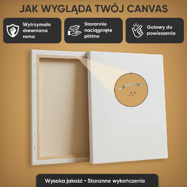 Zarobki kierowcy weselnego