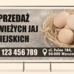 Ile można zarobić na sprzedaży jajek? Realne koszty i marża