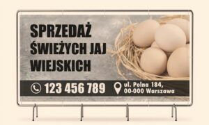 Ile można zarobić na sprzedaży jajek? Realne koszty i marża