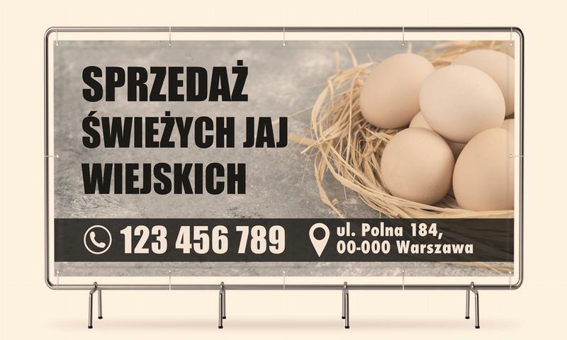 Ile można zarobić na sprzedaży jajek? Realne koszty i marża