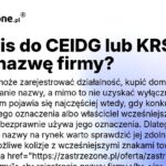 Spółka jawna: KRS czy CEIDG — wybór bez kosztownych błędów